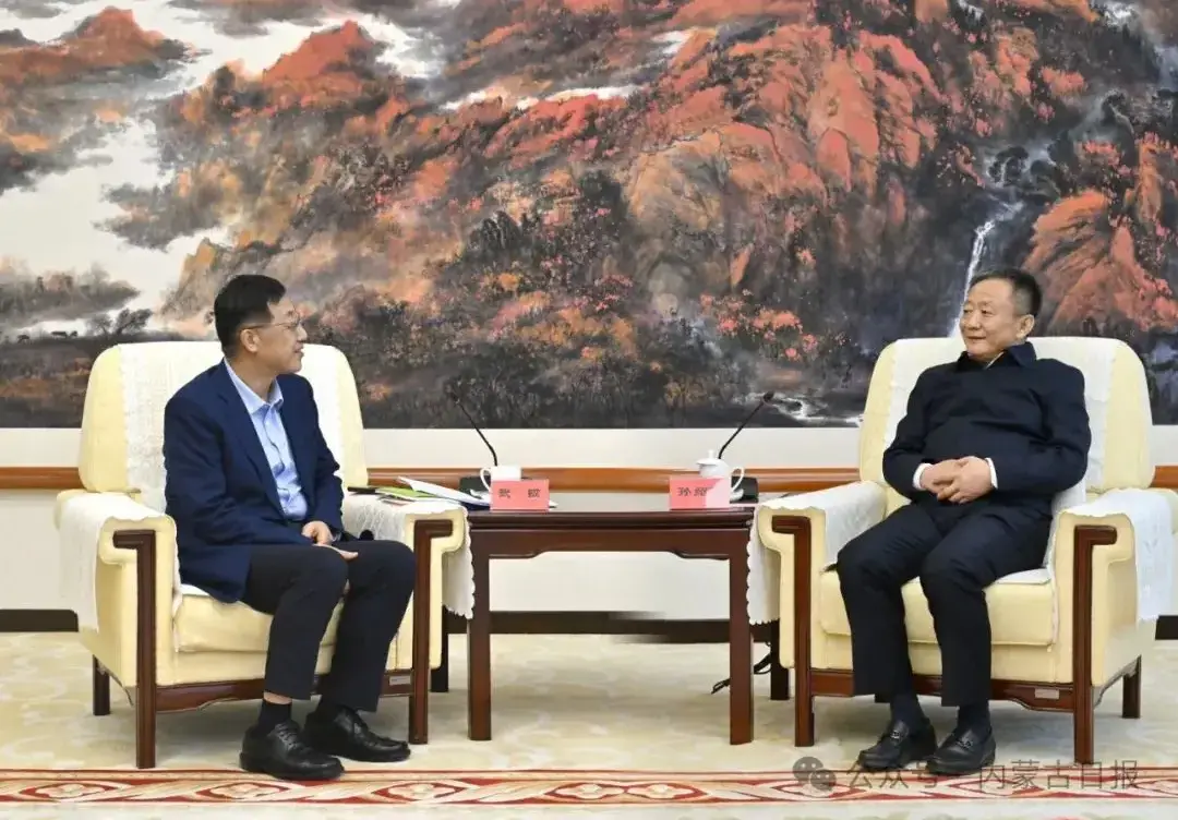 深入了解孙绍骋及其在中国政治中的重要性