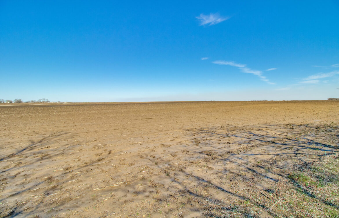Discovering Bonham TX: History, Community, and Future