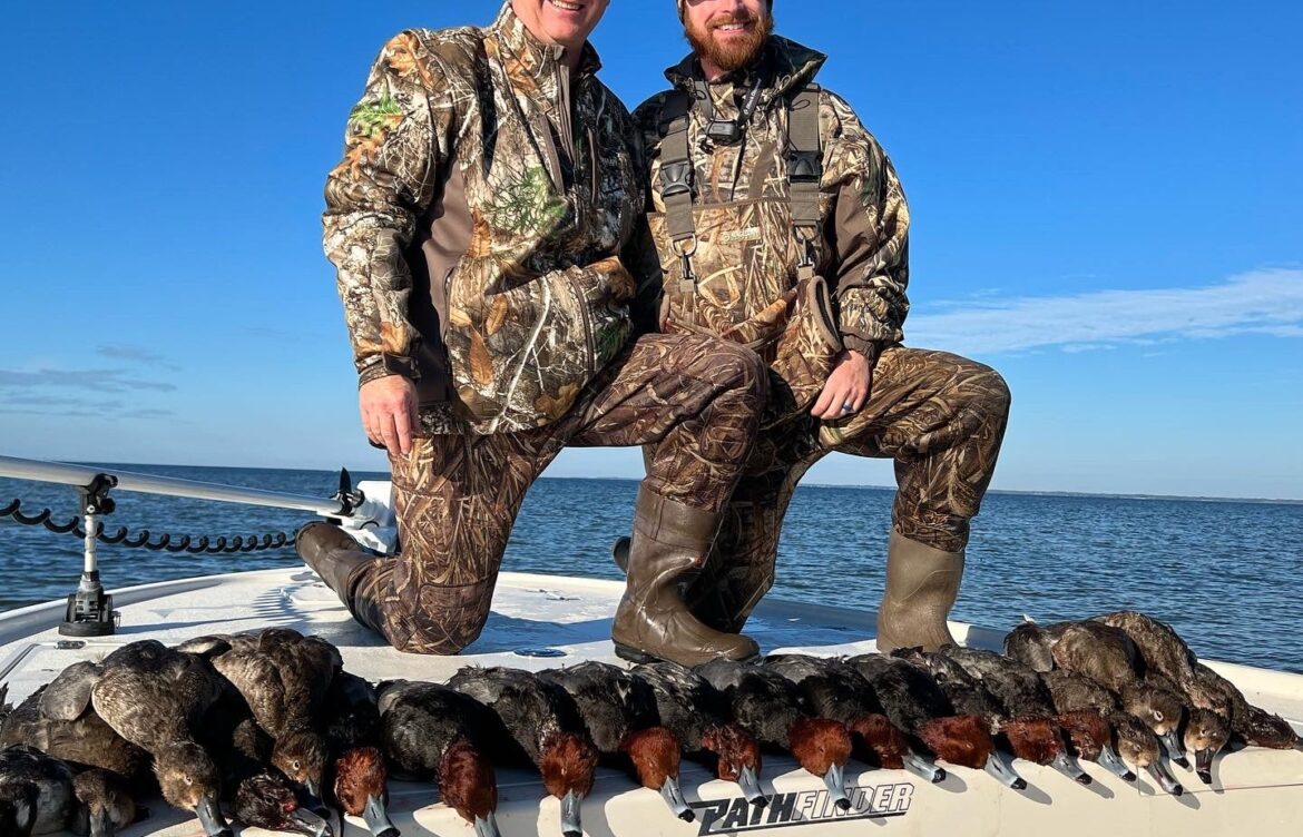 The Fascinating World of Ducks: Species and Significance