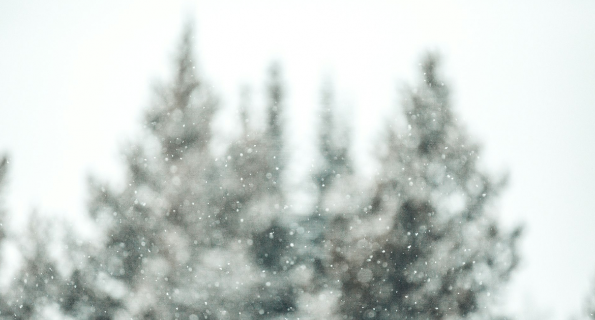 Understanding the Extreme Cold Watch and Its Implications