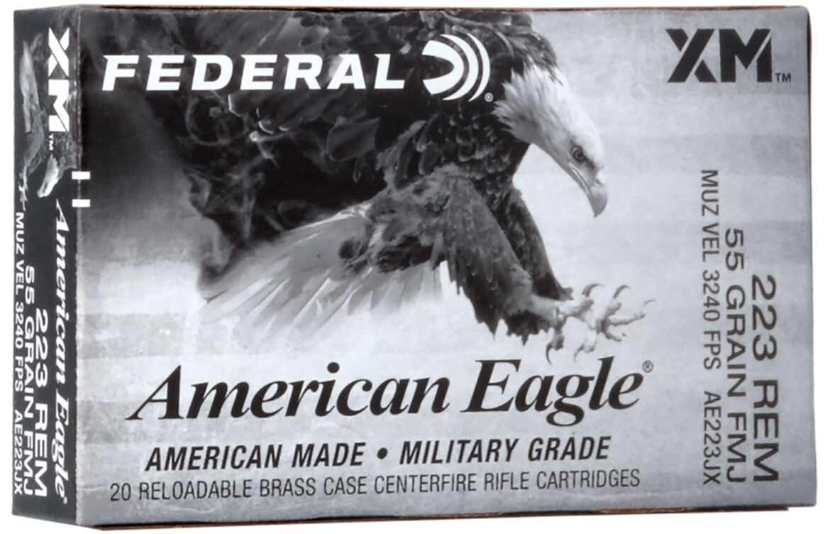 Understanding the Current Federal Government Status