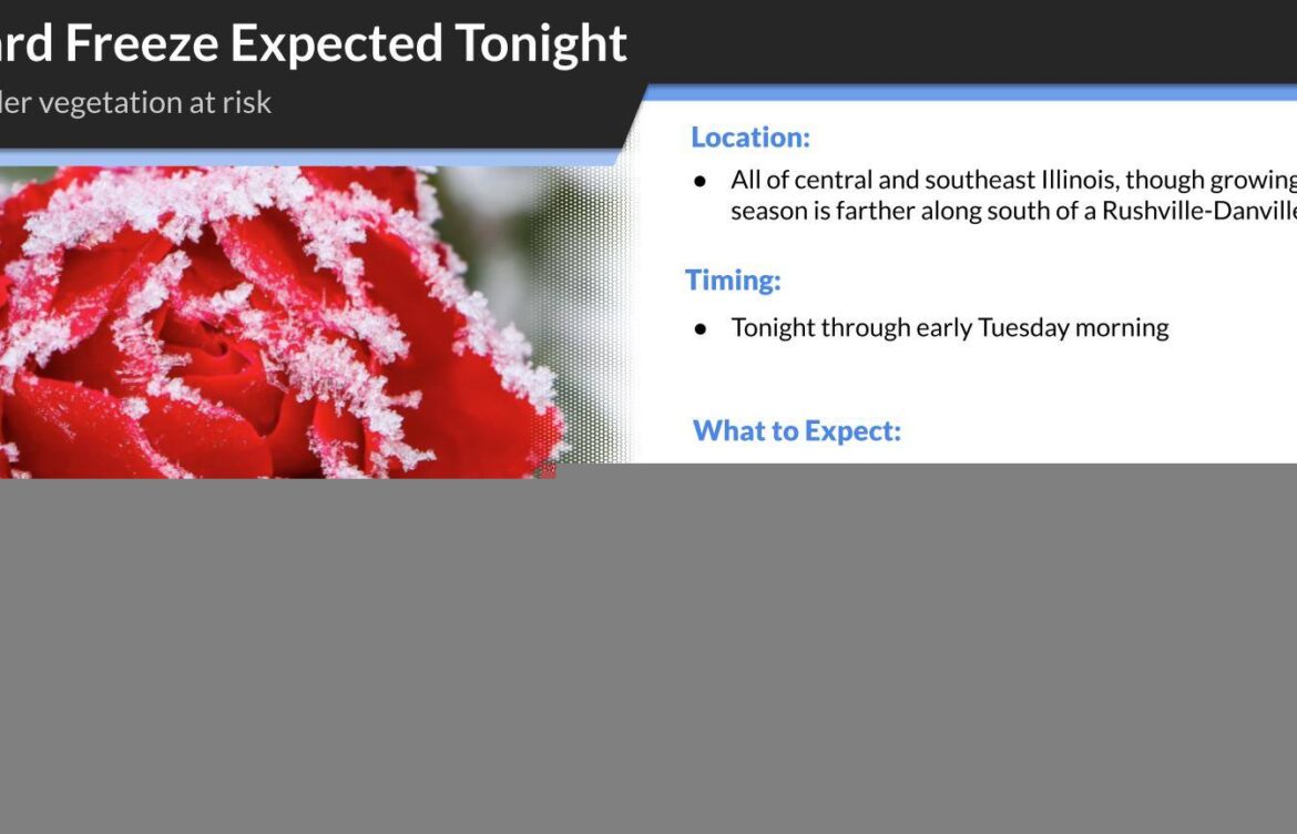 Understanding Freeze Warnings: Preparation and Safety Tips