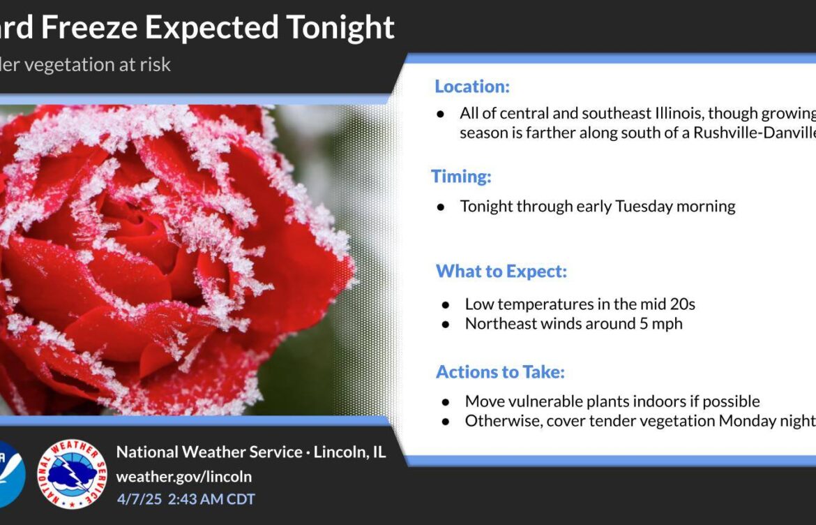 Understanding Freeze Warnings and Their Impact