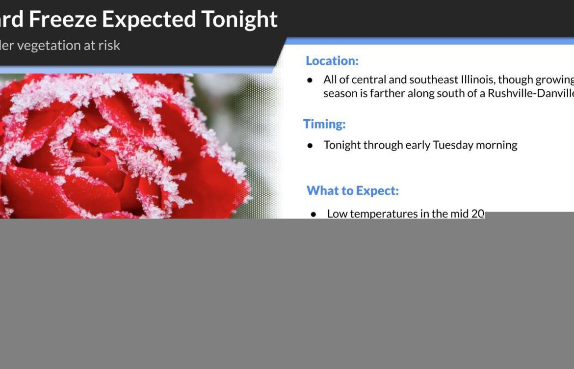 What You Need to Know About Freeze Warnings