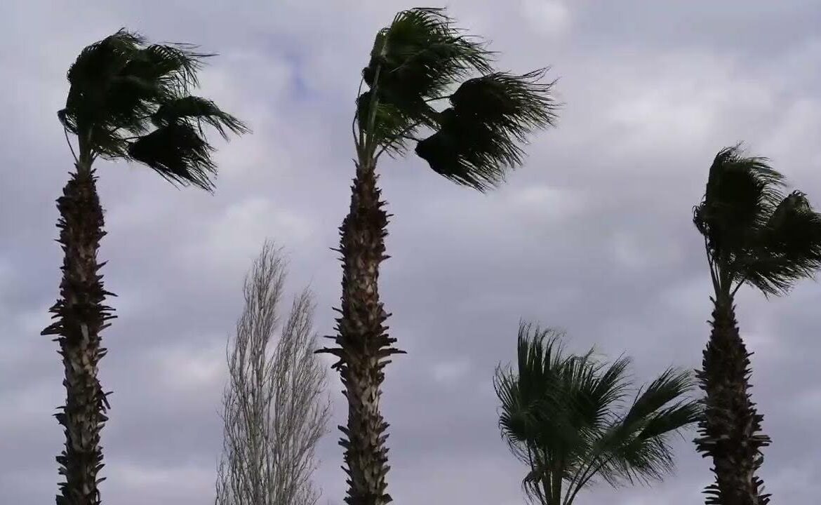 Understanding Hail: Impact, Safety, and Recovery