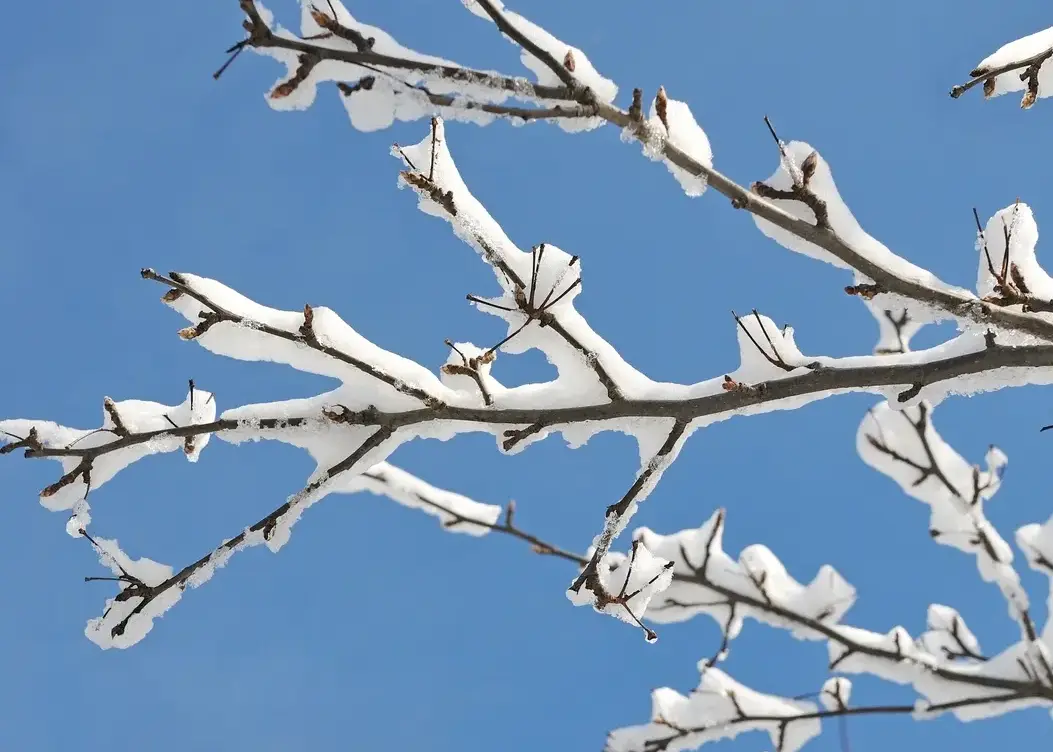 Snowfall Report: How Many Inches Did We Receive This Winter?