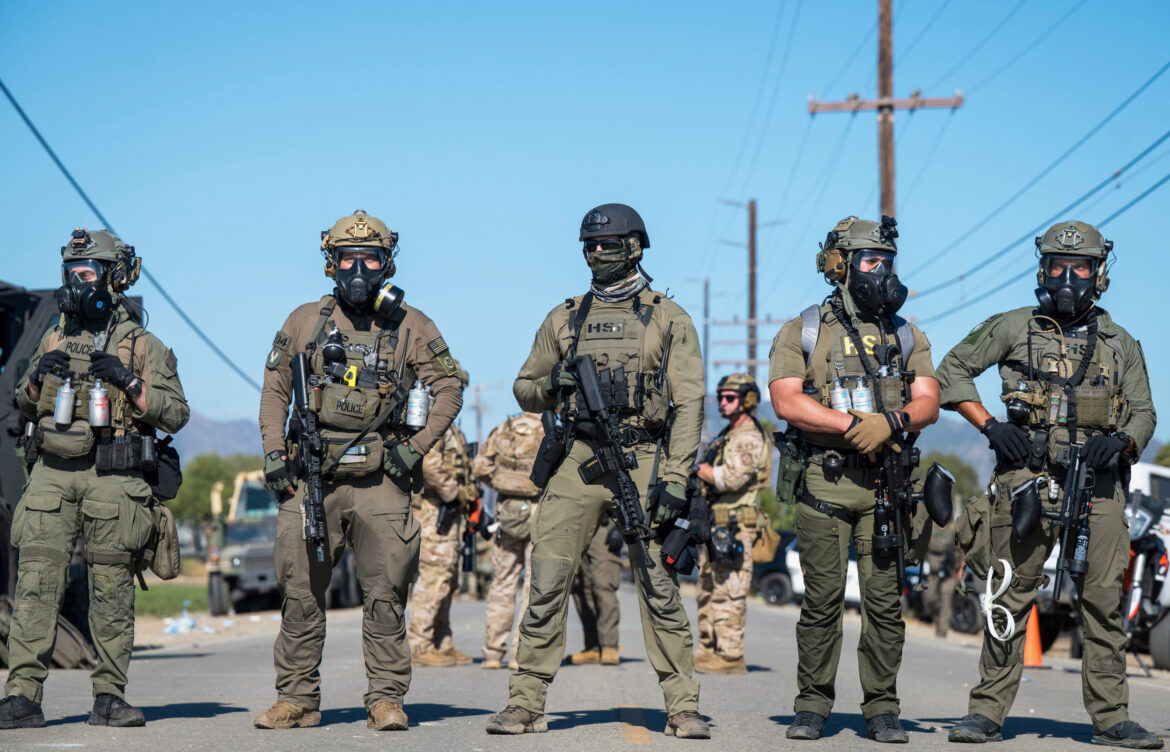 The Role and Responsibilities of ICE Agents in America
