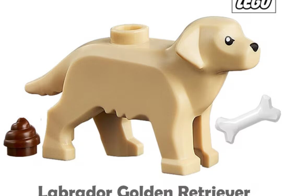 Introducing the LEGO Golden Retriever Puppy Set