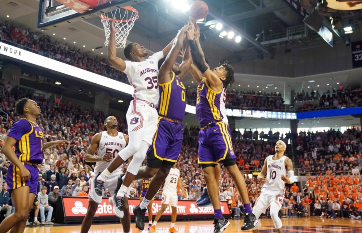 LSU Basketball: A Season of Opportunities and Challenges