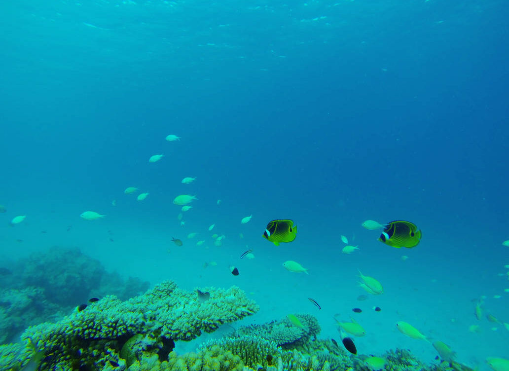 The Maldives: A Jewel of the Indian Ocean
