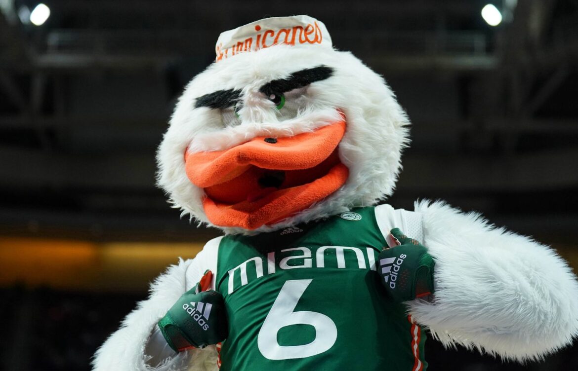 The Miami Hurricanes Mascot: Sebastian the Ibis