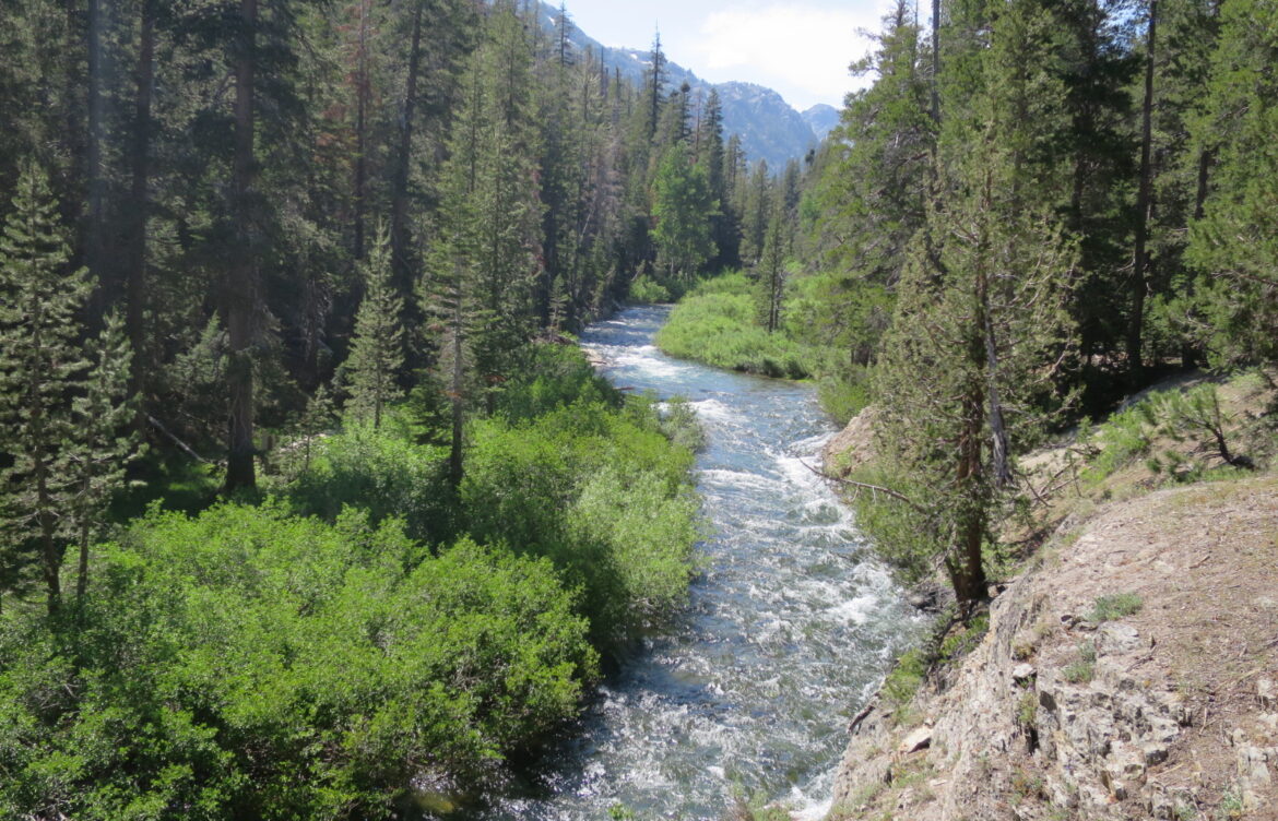 The Crucial Role of Nature in Our Lives