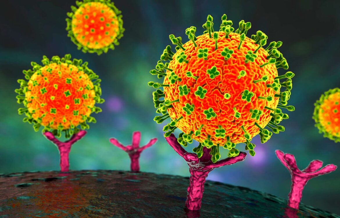 Understanding the Nipah Virus and Its Impact on Public Health