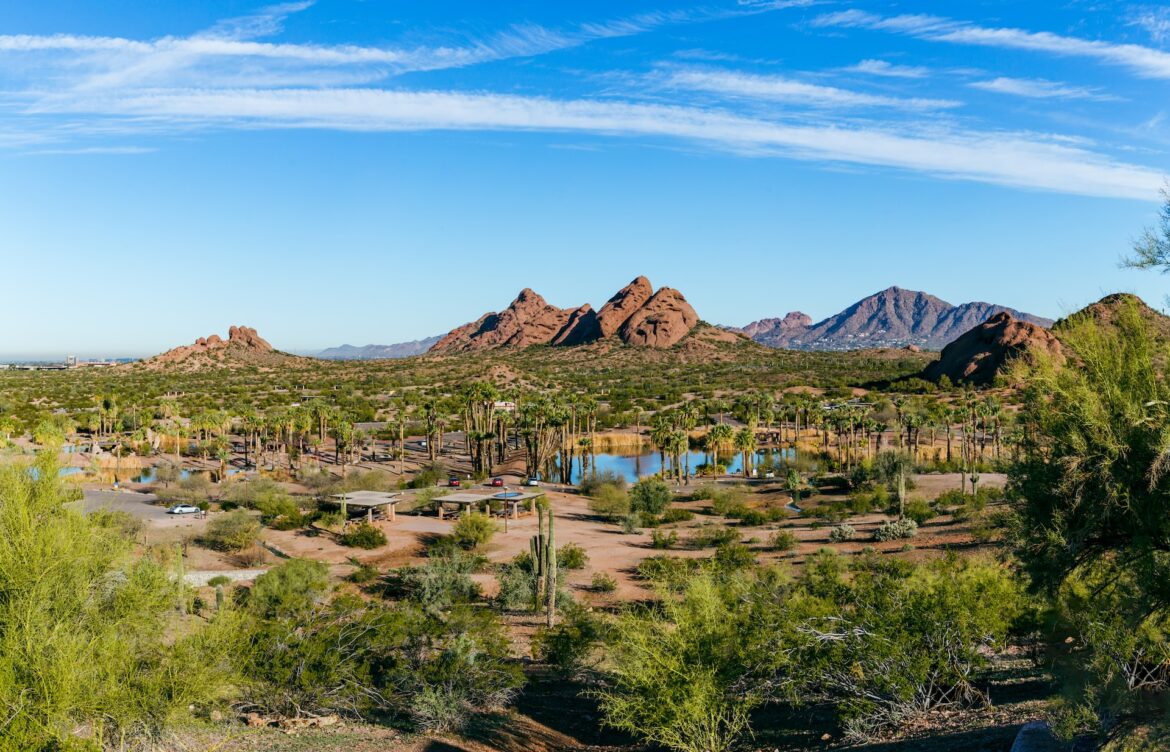 Understanding Phoenix Weather: Trends and Forecasts