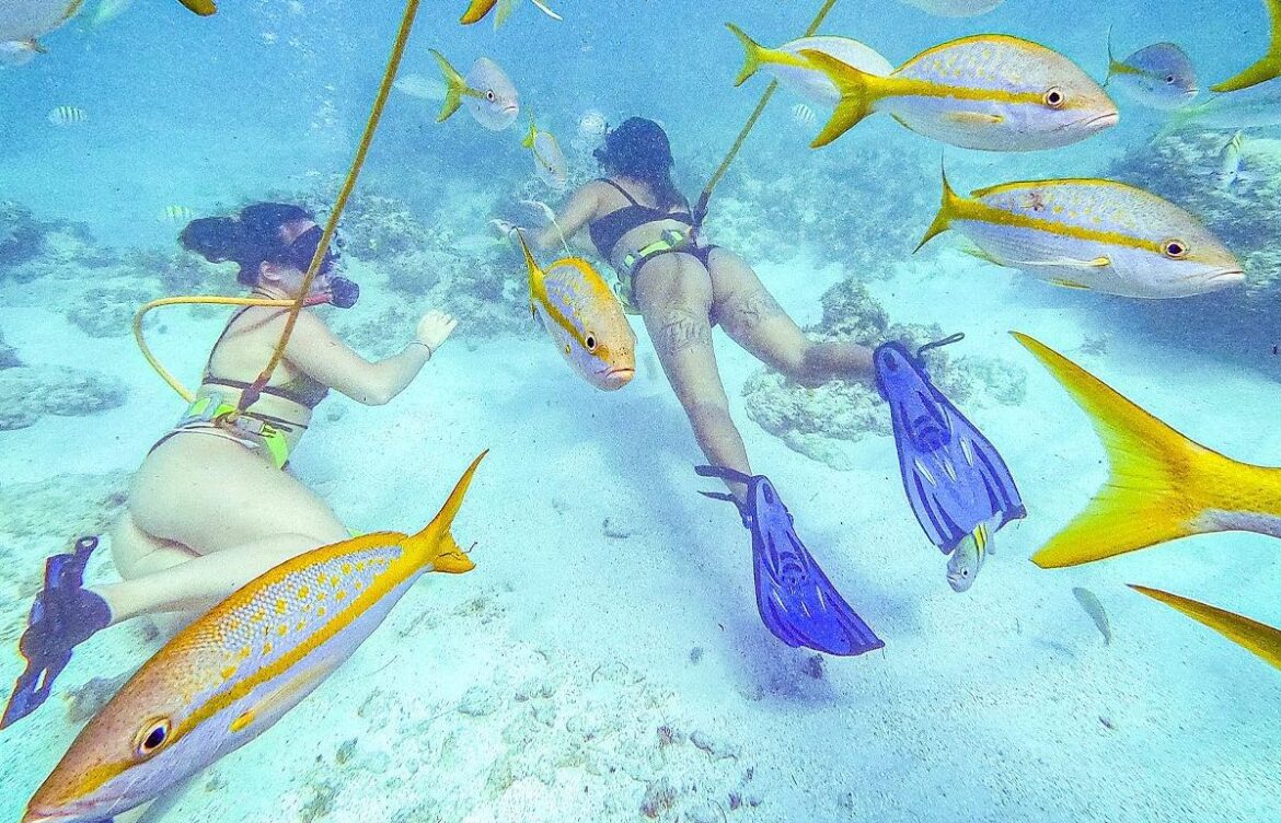 Exploring the Wonders of Punta Cana