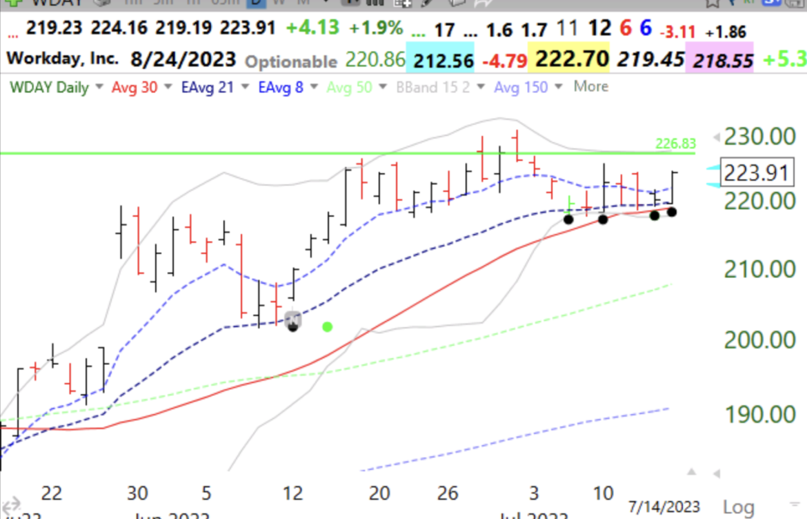 Understanding QQQ Stock: Trends and Insights