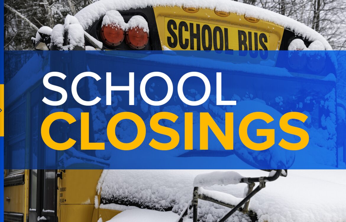 Impacts of Recent School Closings Across the Nation