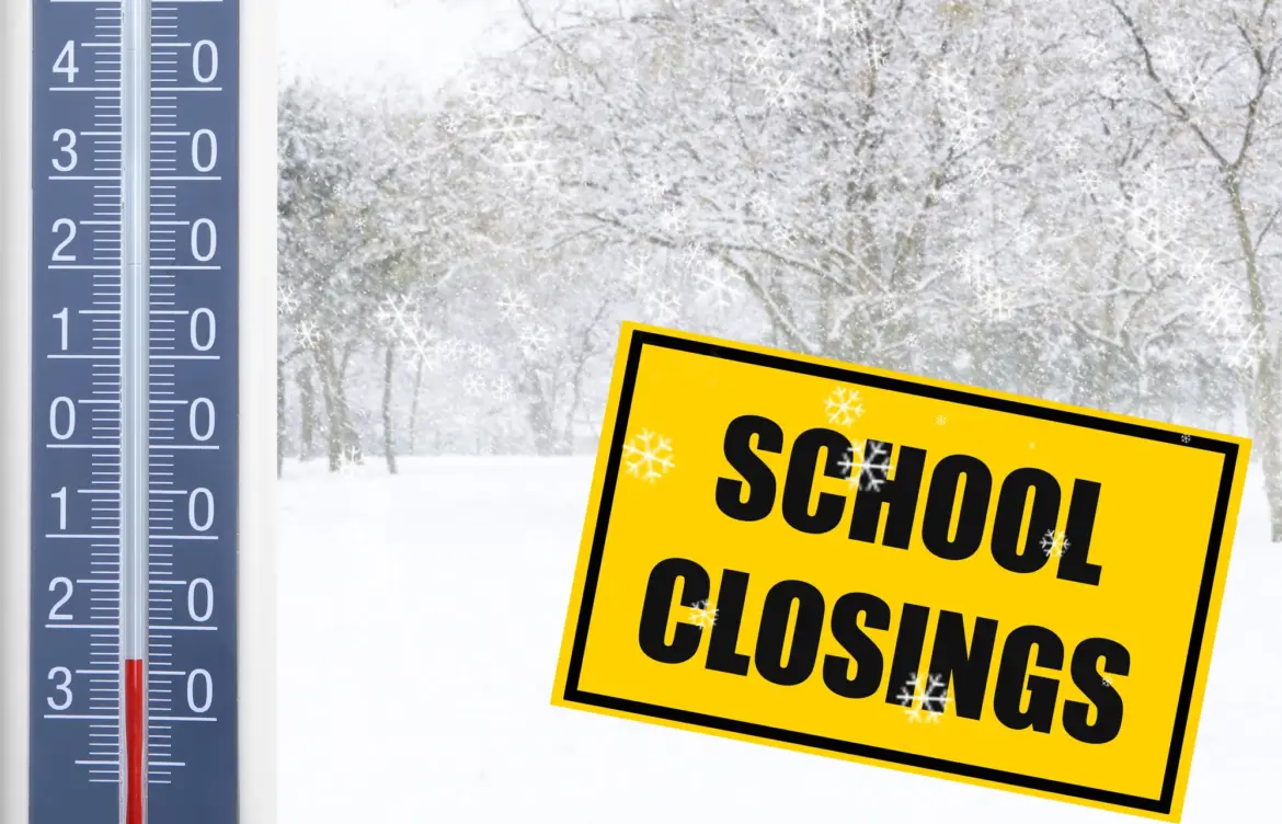 Exploring the Causes and Impacts of School Delays