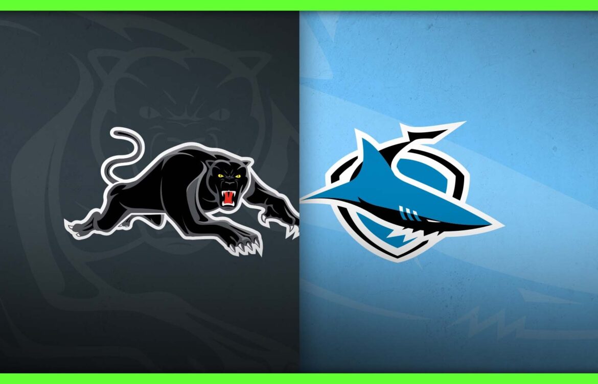 Sharks vs Panthers: Key Highlights and Insights