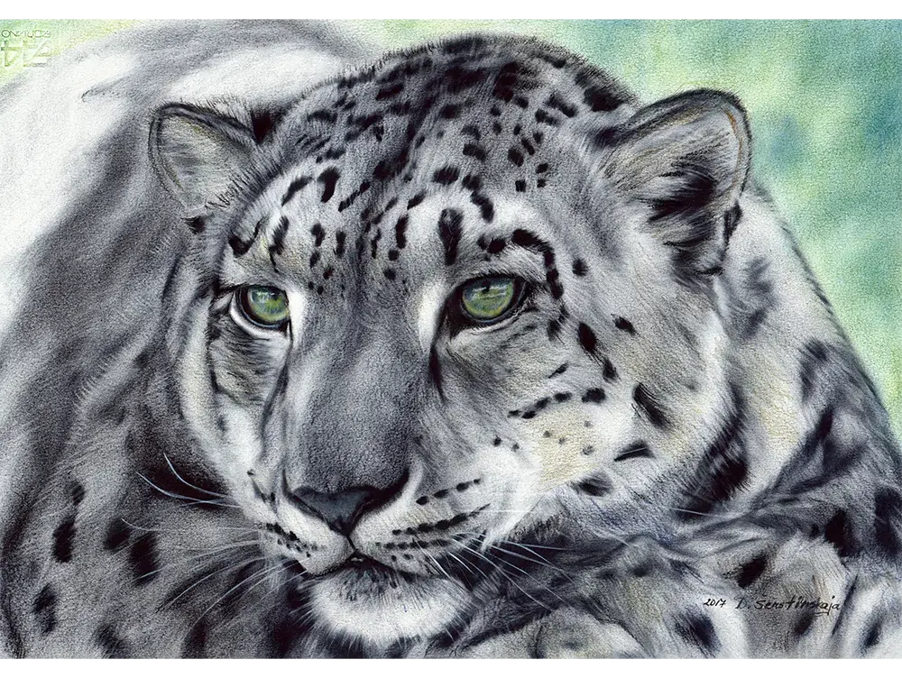 Protecting the Enigmatic Snow Leopard