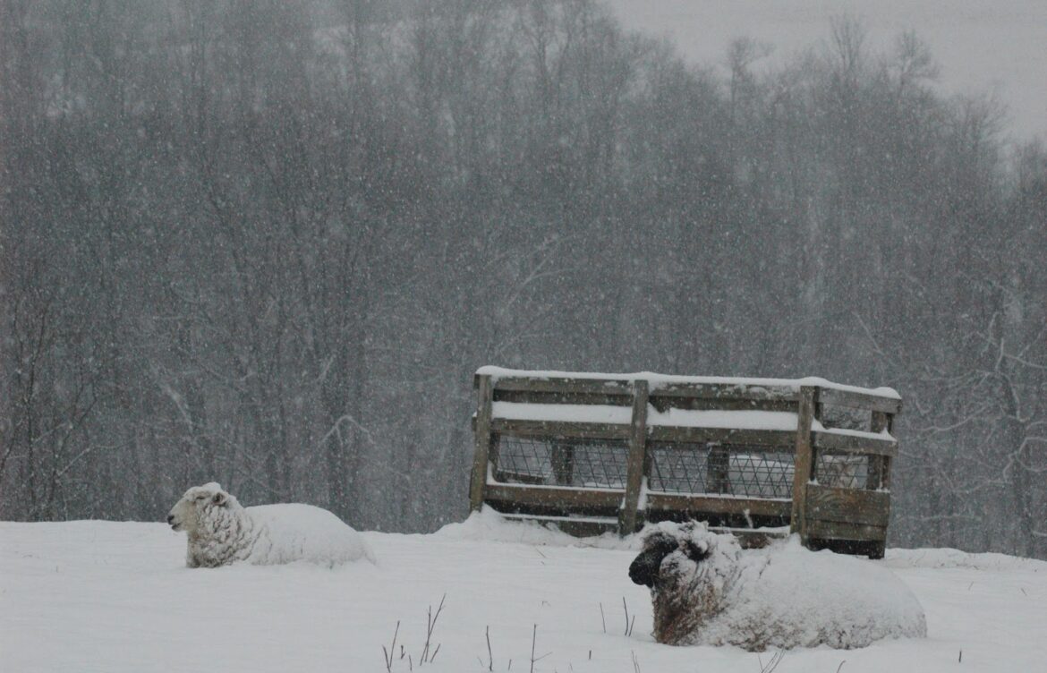 Snowstorm This Weekend: What to Expect