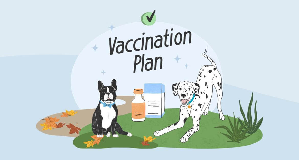 The Vital Role of Vaccines in Public Health