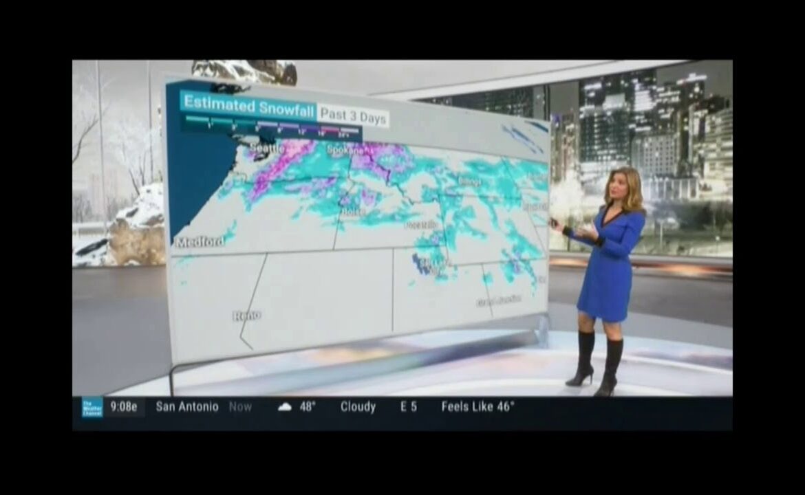 Understanding the Role of the Weather Channel in Weather Forecasting