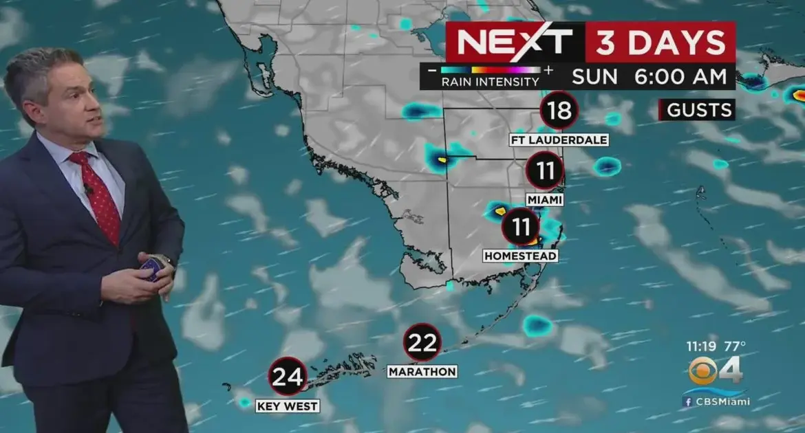Current Weather in Miami: Trends, Forecasts, and Insights