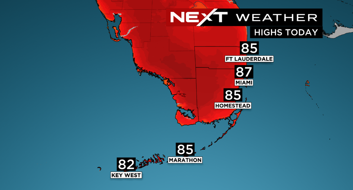 Weather in Miami: Current Conditions and Forecasts