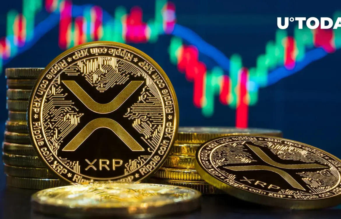 Understanding XRP: Its Importance and Future Insights
