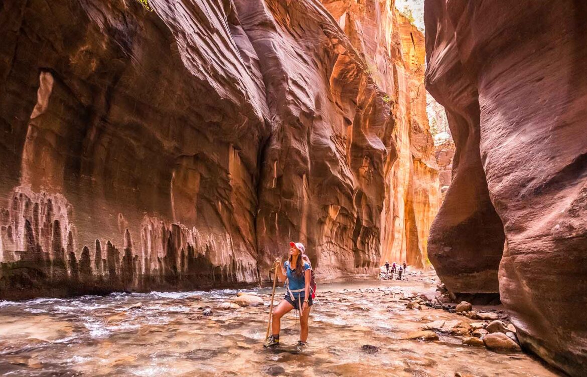 Exploring the Wonders of Zion National Park
