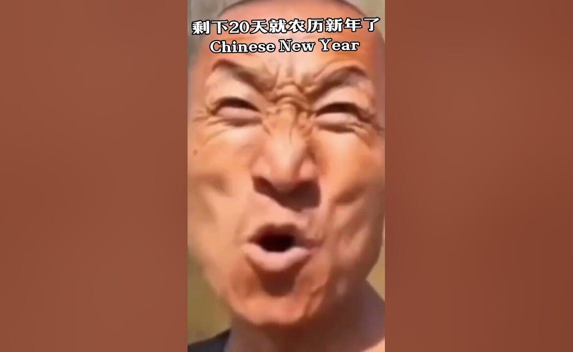 农历新年：文化传统与全球庆祝活动