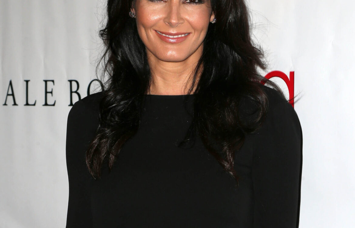Angie Harmon: A Look at Her Career and Recent Work