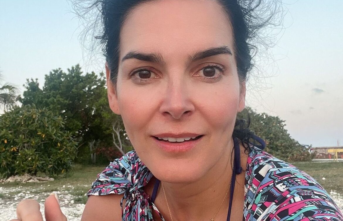 Exploring the Career and Recent Developments of Angie Harmon