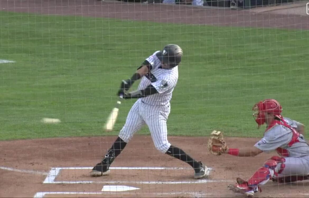 Austin Wells: The Promising Future of Major League Baseball