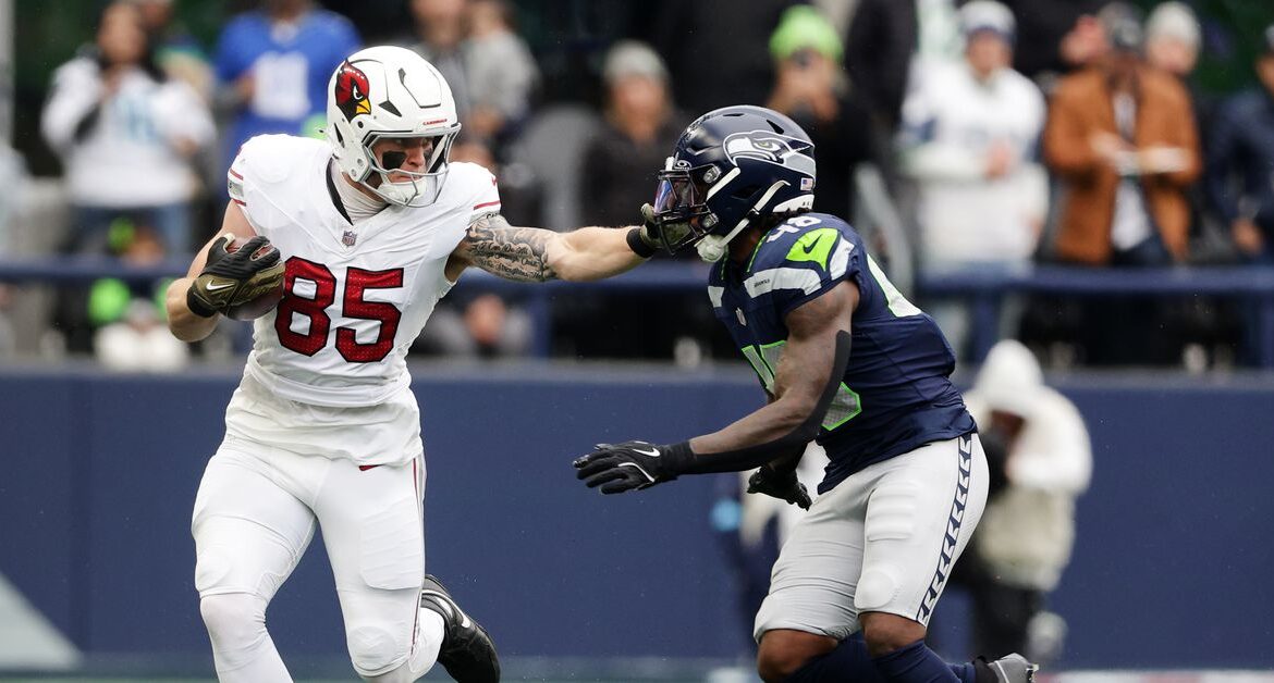 All You Need to Know About Barner Seahawks
