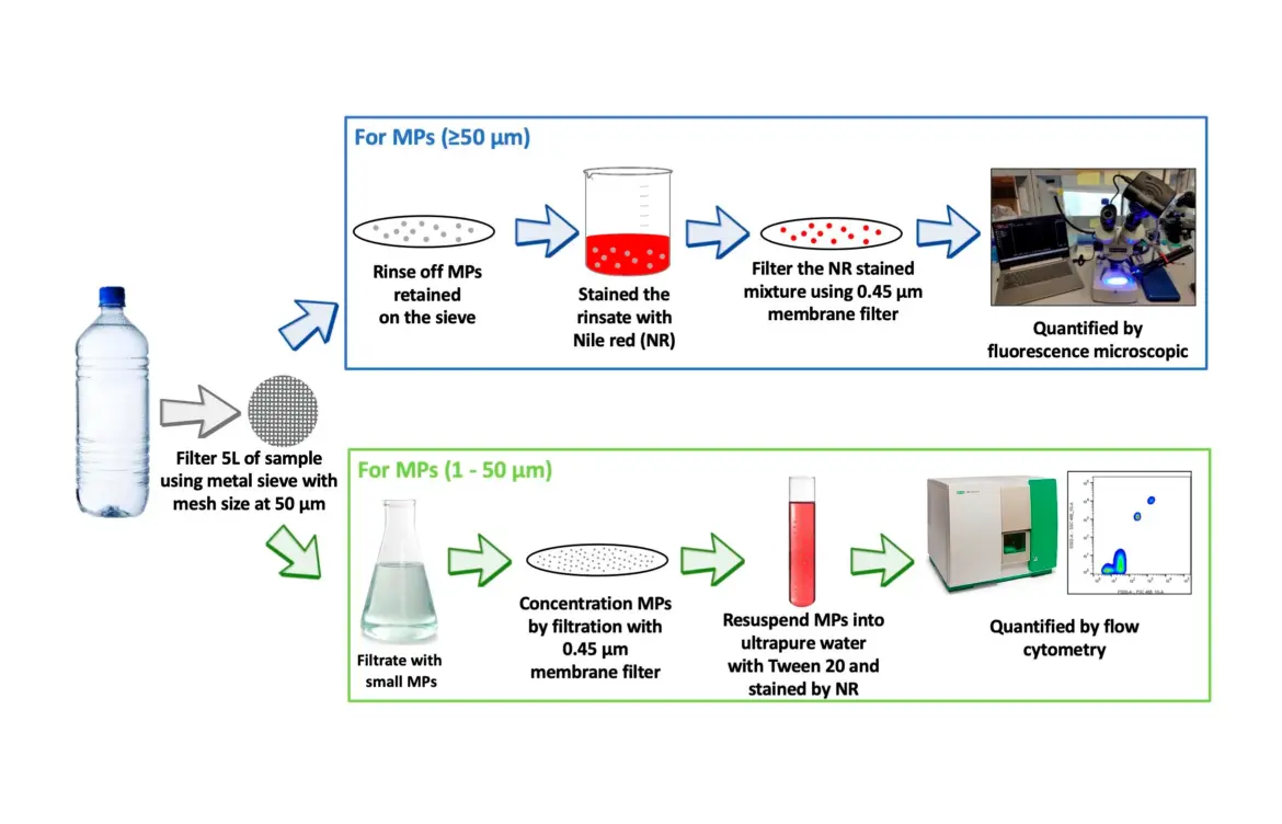 Groundbreaking Study Reveals Microplastic Levels in Bottled Water