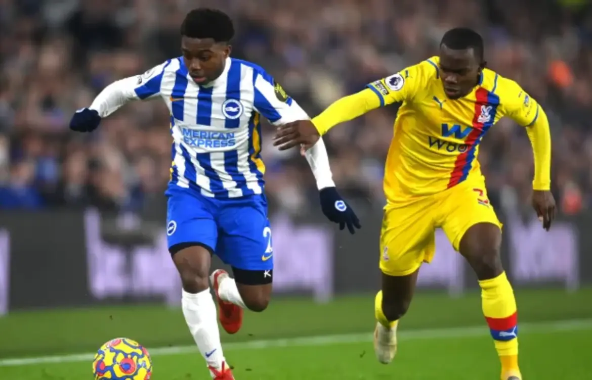 Brighton vs Crystal Palace: A Closer Look at the Rivalry