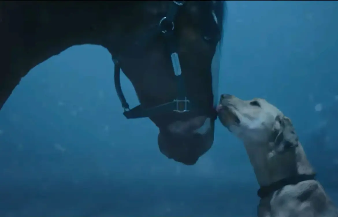 Budweiser’s Impactful Super Bowl Commercial in 2023