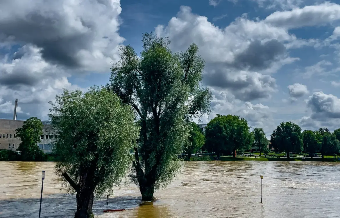Understanding Coastal Flood Warnings and Their Impact