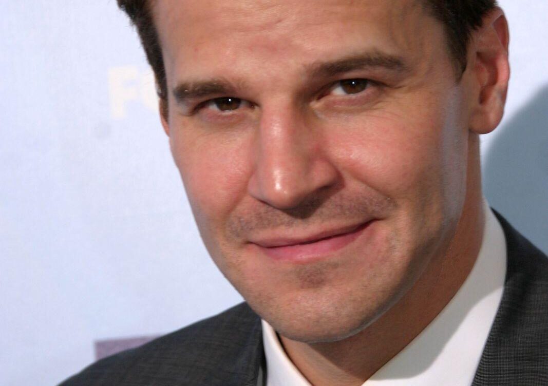 The Impressive Career of David Boreanaz