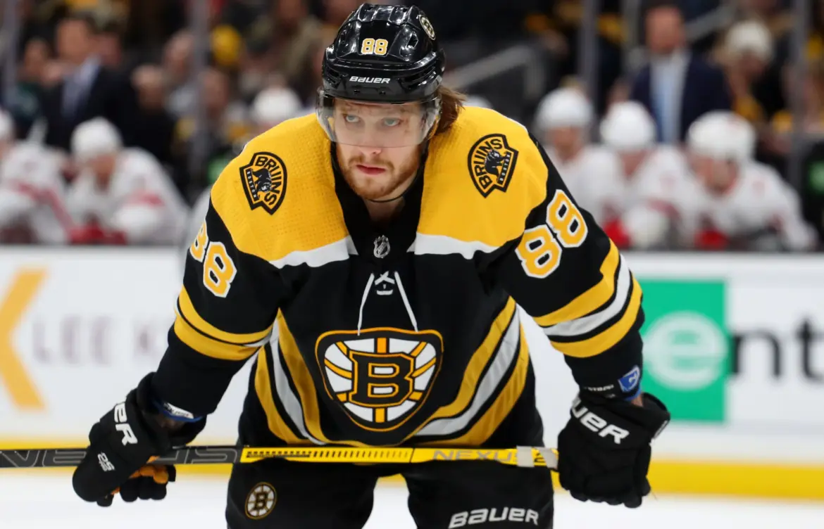 The Rise of David Pastrnak in the NHL