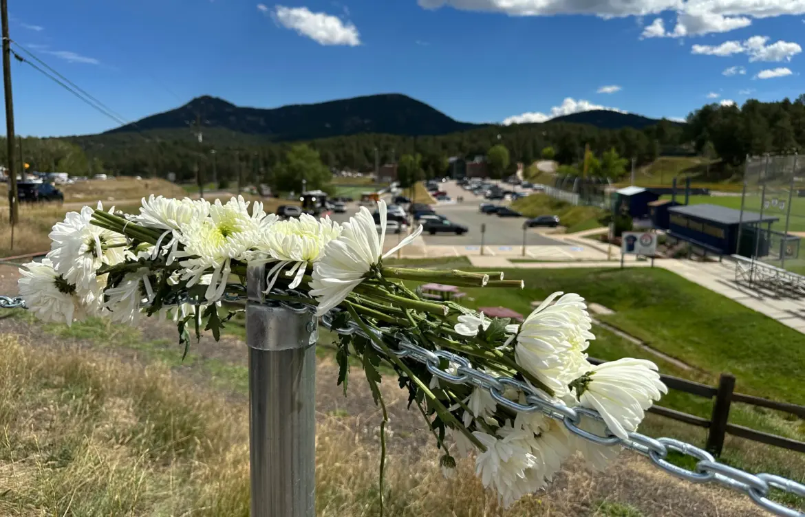 Understanding the Evergreen Shooting Incident