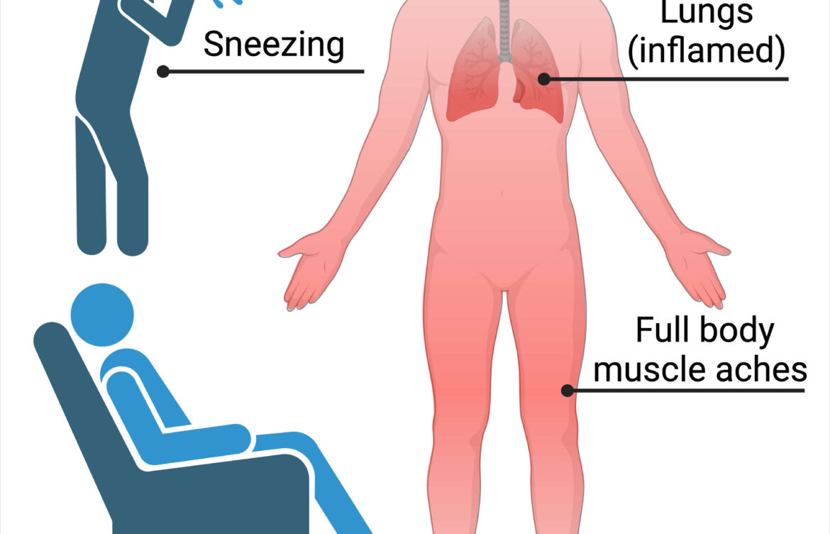 Identifying Flu Symptoms: What You Need to Know