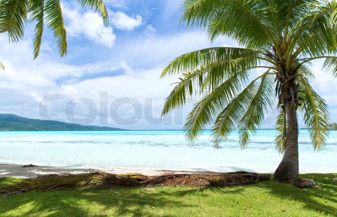 Exploring the Wonders of French Polynesia