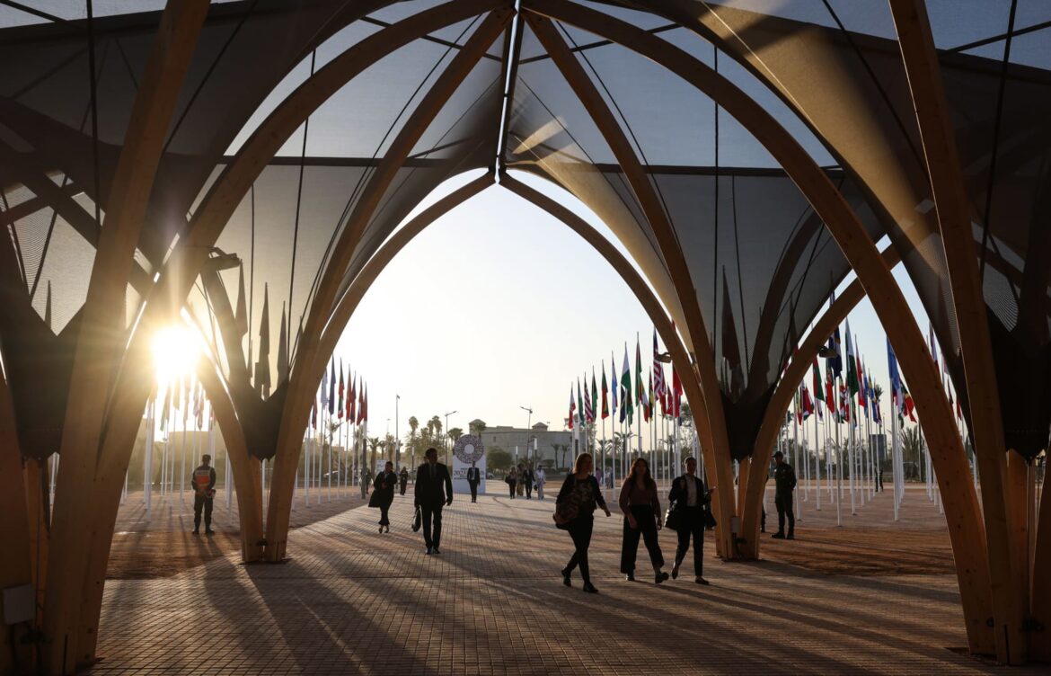The International Monetary Fund: Pillar of Global Finance