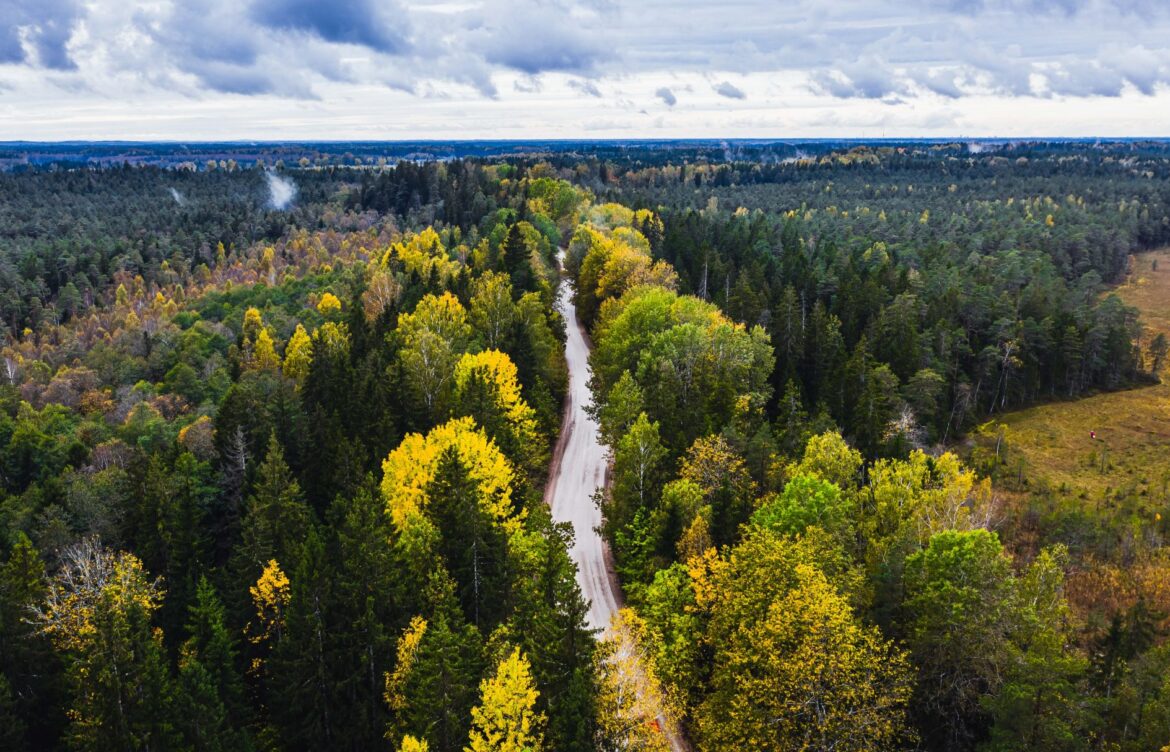 Discovering Latvia: History, Culture, and Current Events