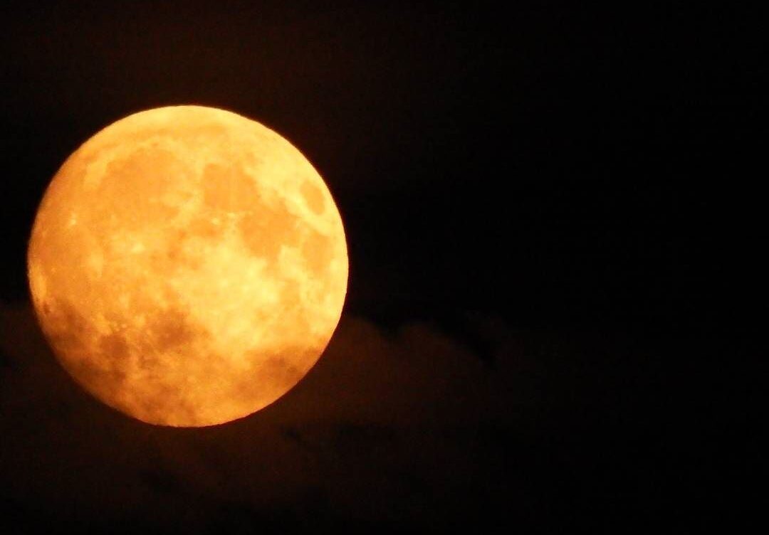 Experience the Moon Tonight: Celestial Highlights and Viewing Tips