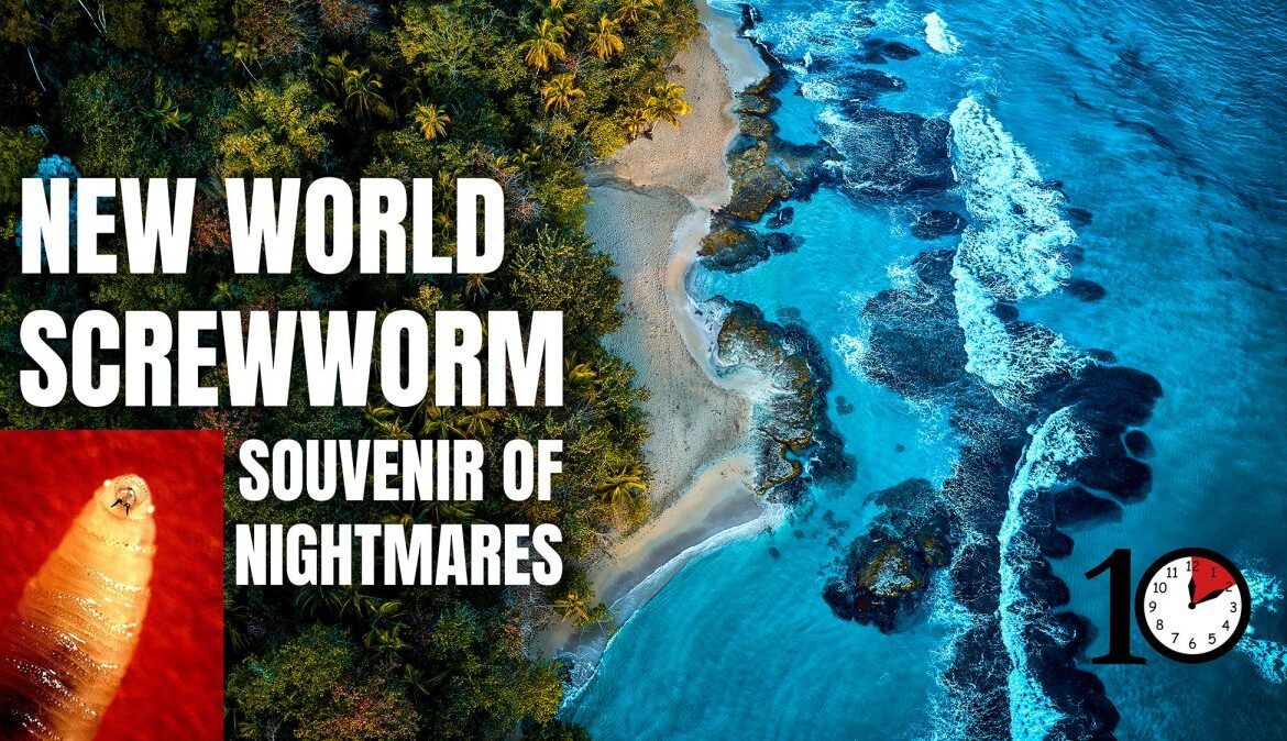 Understanding the Threat of New World Screwworm