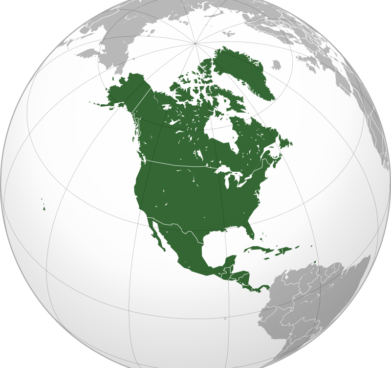 Understanding Current Trends in North America